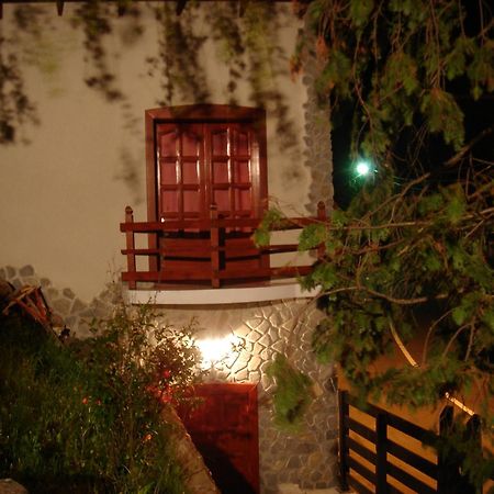 Rem'S Pension Rîşnov Dış mekan fotoğraf