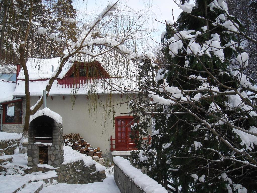 Rem'S Pension Rîşnov Dış mekan fotoğraf