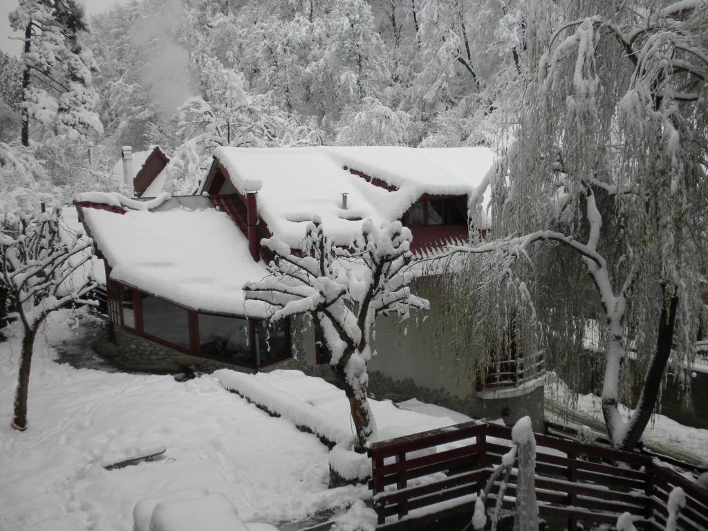 Rem'S Pension Rîşnov Dış mekan fotoğraf